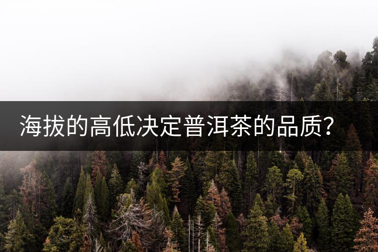 海拔的高低決定普洱茶的品質(zhì)？【附：名山頭茶海拔表】