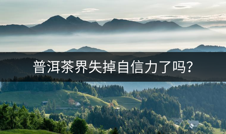 普洱茶界失掉自信力了嗎？