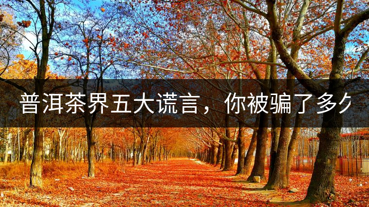 普洱茶界五大謊言，你被騙了多久？