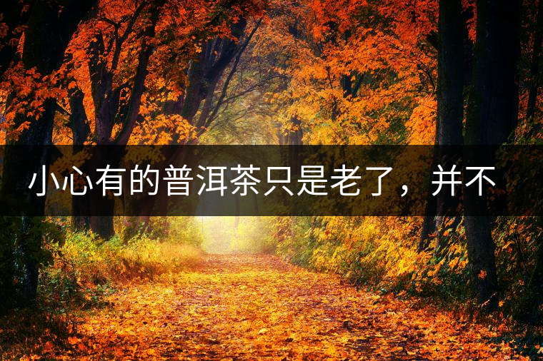 小心有的普洱茶只是老了，并不是好了