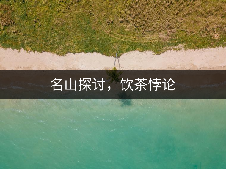 名山探討，飲茶悖論
