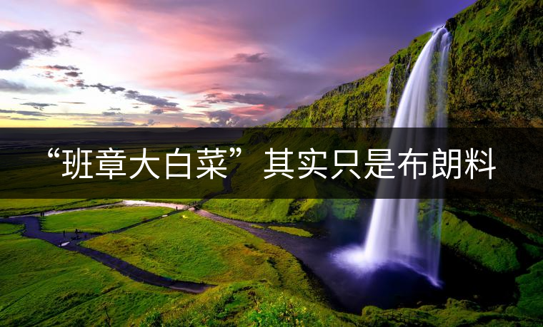 “班章大白菜”其實(shí)只是布朗料？