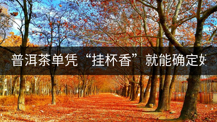 普洱茶單憑“掛杯香”就能確定好壞？you錯(cuò)了！