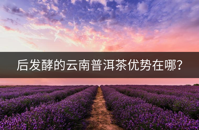 后發(fā)酵的云南普洱茶優(yōu)勢在哪？