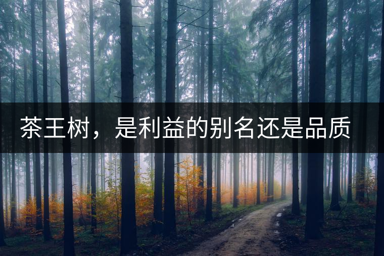 茶王樹，是利益的別名還是品質(zhì)的象征？