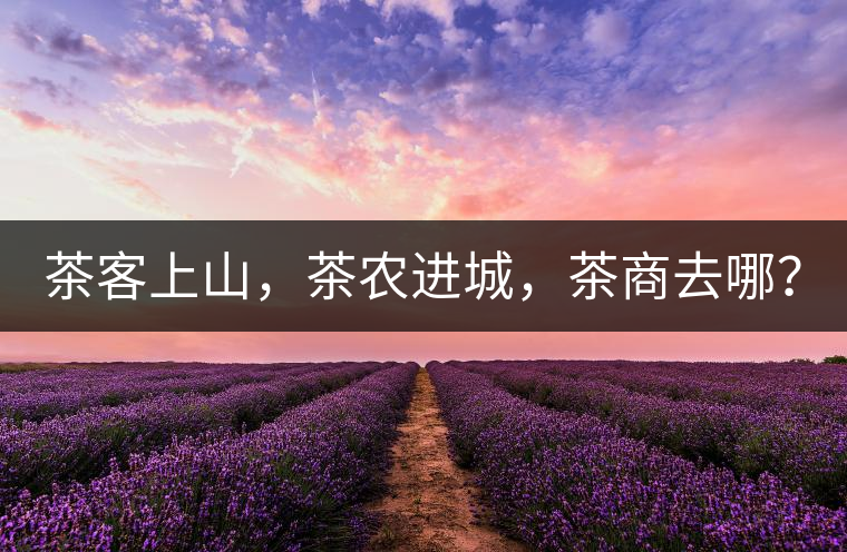 茶客上山，茶農(nóng)進(jìn)城，茶商去哪？