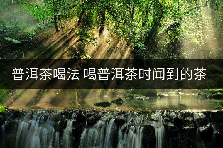 普洱茶喝法 喝普洱茶時(shí)聞到的茶氣 普洱茶喝法 喝普洱茶時(shí)聞到的茶氣