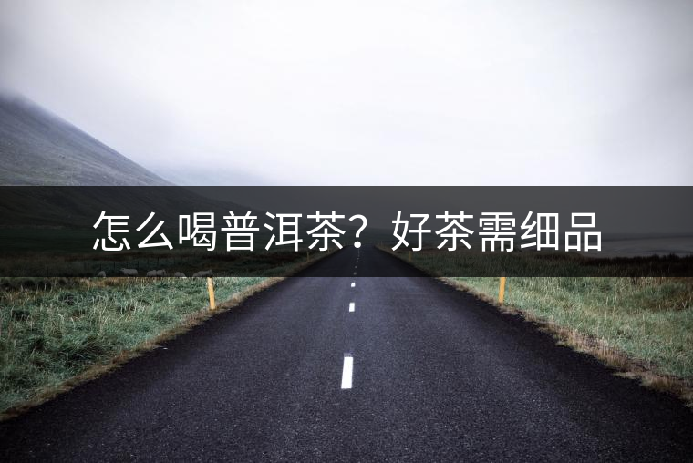 怎么喝普洱茶？好茶需細(xì)品