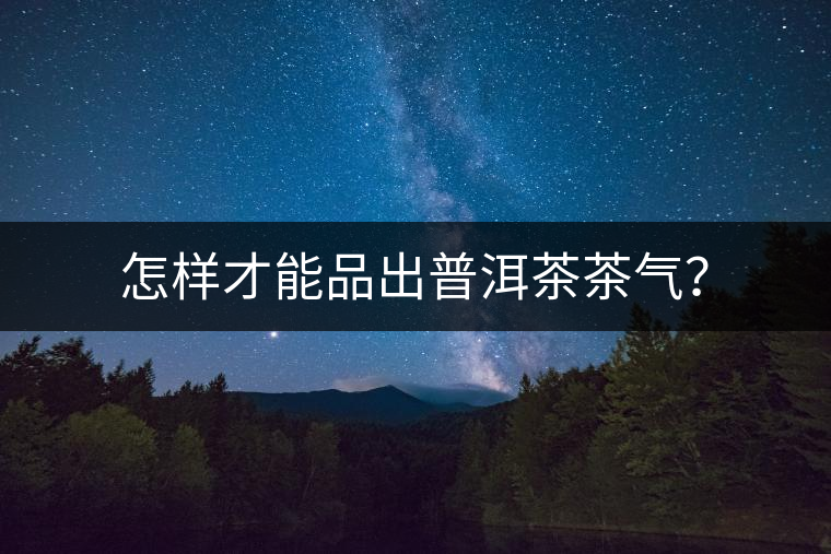 怎樣才能品出普洱茶茶氣？