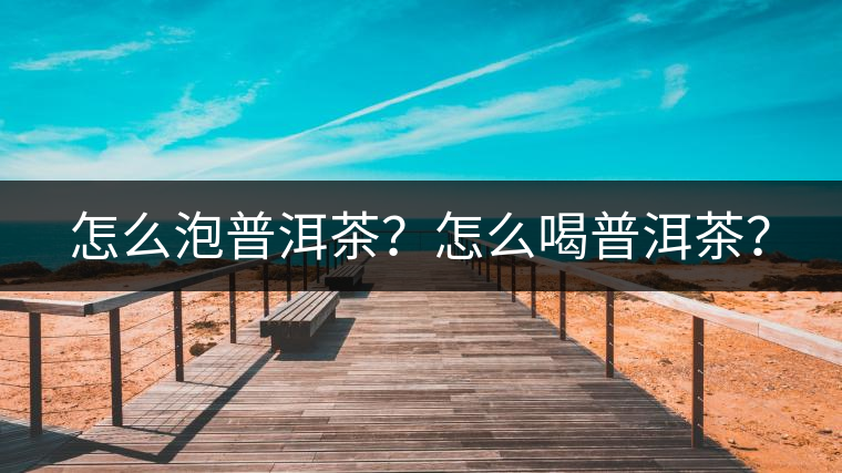 怎么泡普洱茶？怎么喝普洱茶？