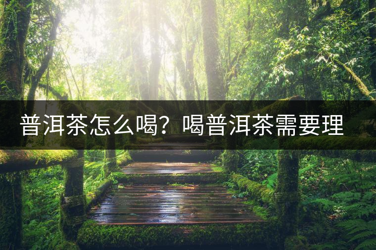 普洱茶怎么喝？喝普洱茶需要理由嗎？