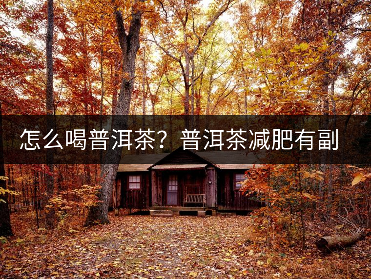 怎么喝普洱茶？普洱茶減肥有副作用嗎？