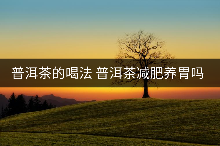 普洱茶的喝法 普洱茶減肥養(yǎng)胃嗎？