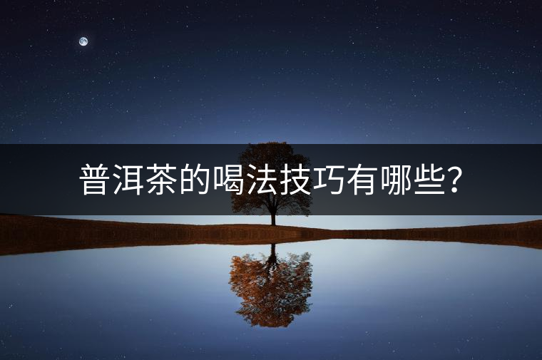 普洱茶的喝法技巧有哪些？