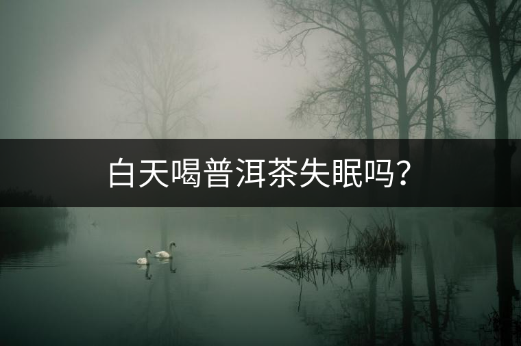 白天喝普洱茶失眠嗎？