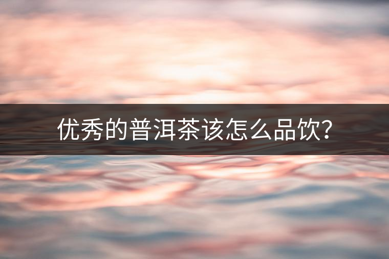 優(yōu)秀的普洱茶該怎么品飲？