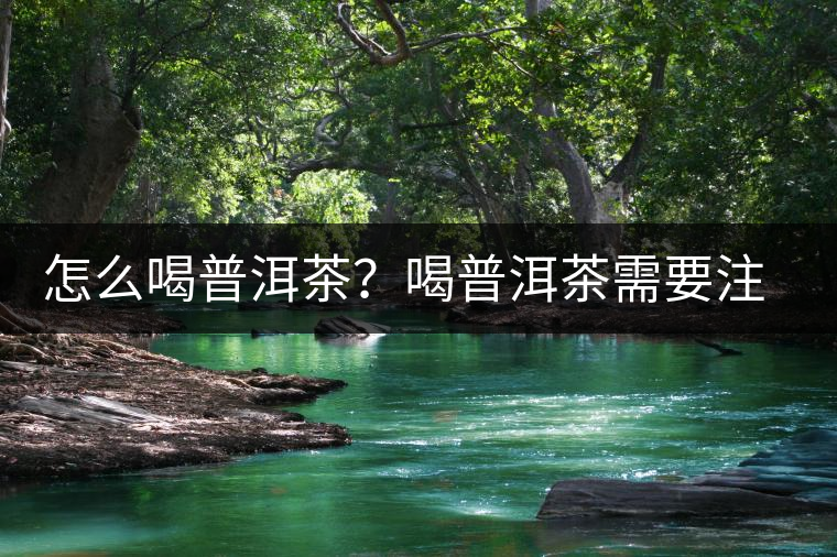 怎么喝普洱茶？喝普洱茶需要注意的要點(diǎn)