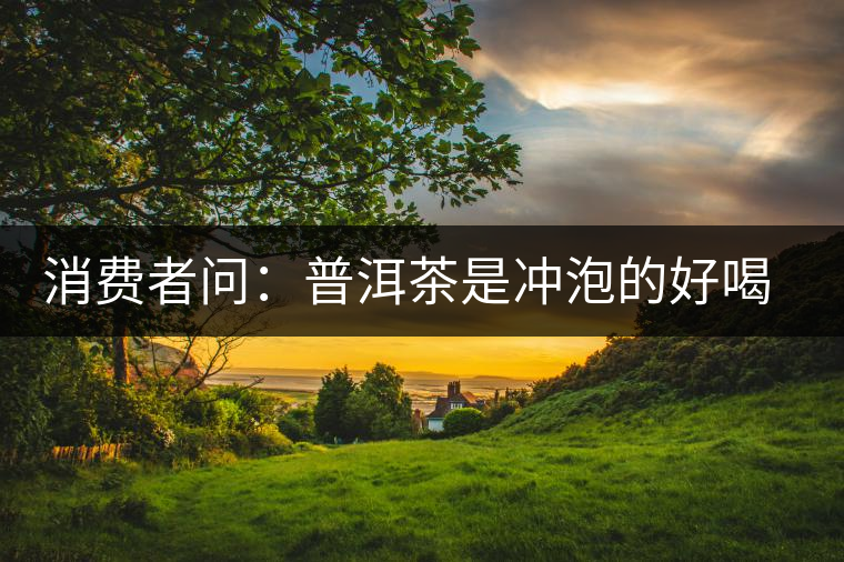 消費(fèi)者問：普洱茶是沖泡的好喝？還是煮著喝好？