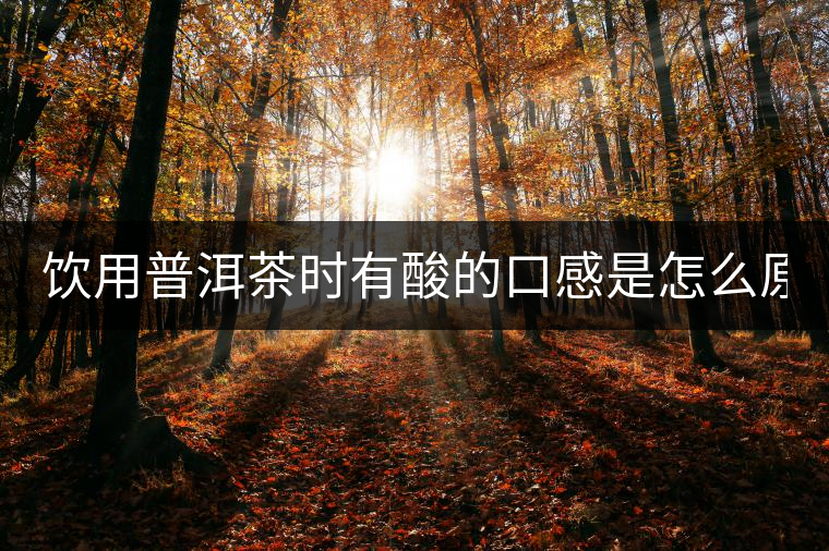 飲用普洱茶時有酸的口感是怎么原因？