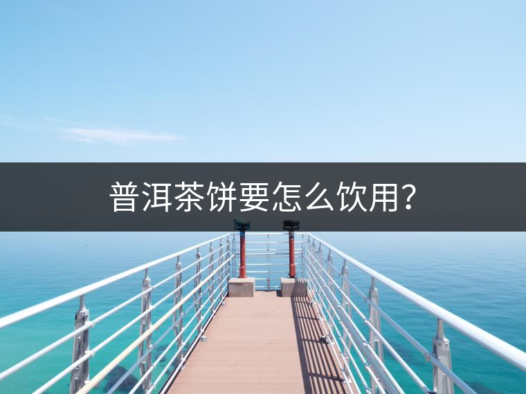 普洱茶餅要怎么飲用？
