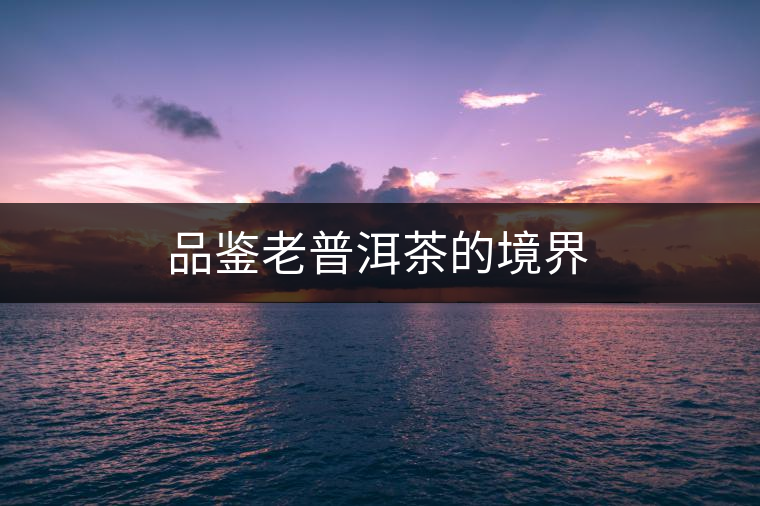 品鑒老普洱茶的境界