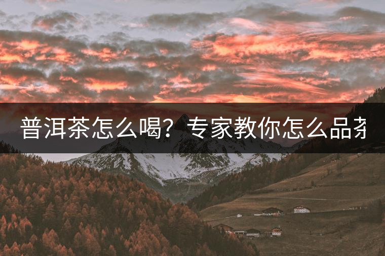 普洱茶怎么喝？專家教你怎么品茶？