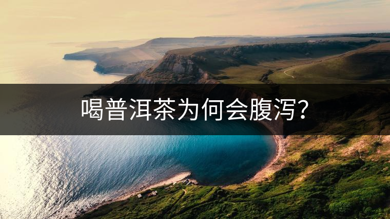 喝普洱茶為何會腹瀉？