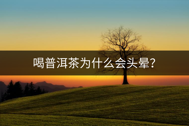 喝普洱茶為什么會頭暈？