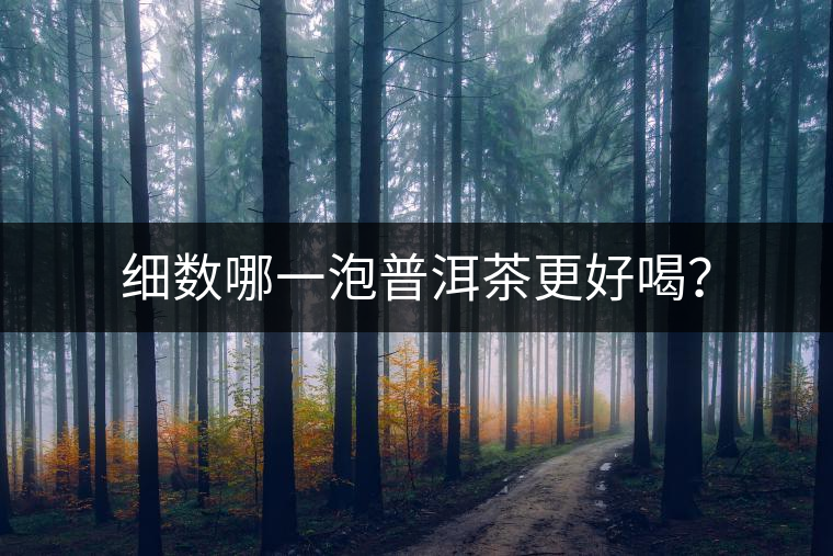 細(xì)數(shù)哪一泡普洱茶更好喝？