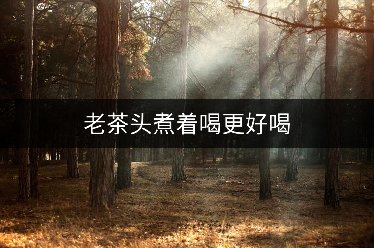 老茶頭煮著喝更好喝 老茶頭煮著喝更好喝