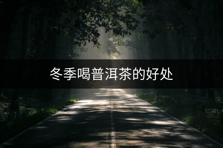 冬季喝普洱茶的好處 冬季喝普洱茶的好處