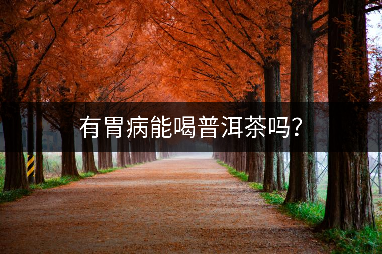 有胃病能喝普洱茶嗎？
