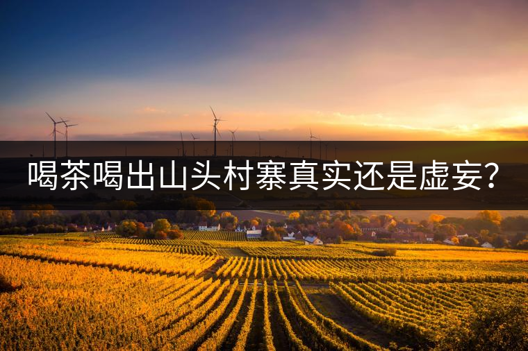 喝茶喝出山頭村寨真實(shí)還是虛妄？