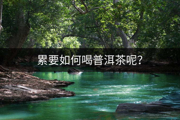 累要如何喝普洱茶呢？