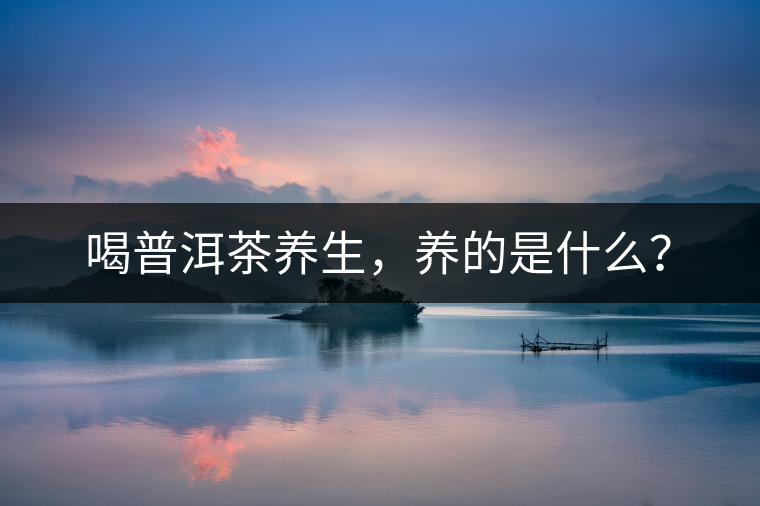 喝普洱茶養(yǎng)生，養(yǎng)的是什么？
