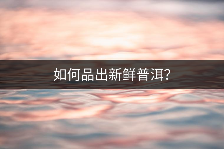 如何品出新鮮普洱？