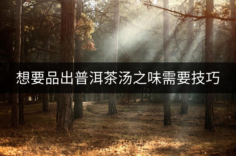 想要品出普洱茶湯之味需要技巧 想要品出普洱茶湯之味需要技巧