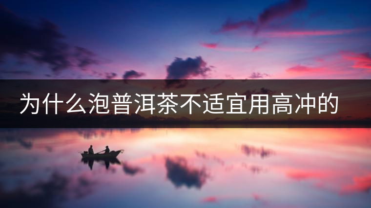 為什么泡普洱茶不適宜用高沖的方式，是有道理的