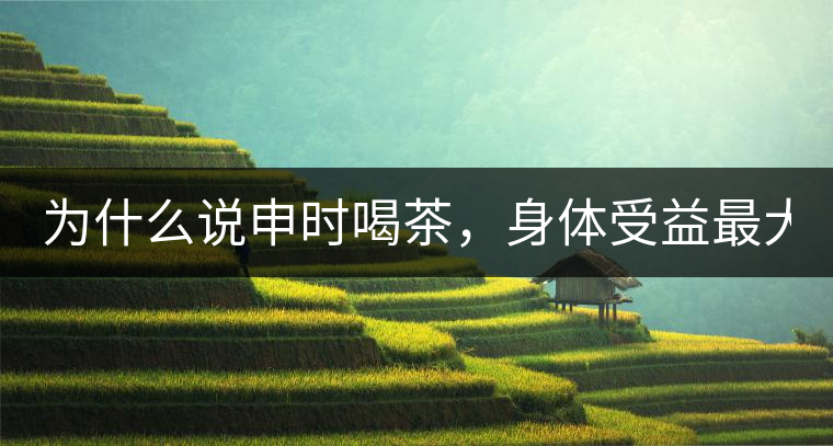 為什么說申時喝茶，身體受益最大？