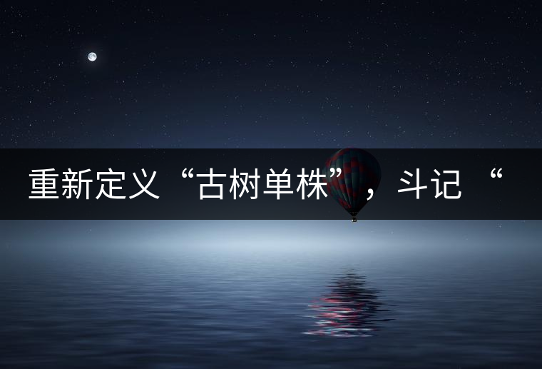 重新定義“古樹單株”，斗記 “超級審評”有償招募告罄在即！