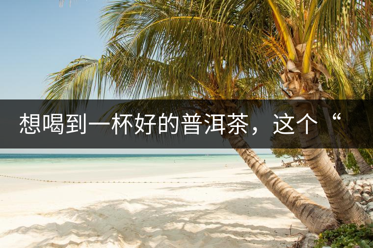 想喝到一杯好的普洱茶，這個“醒茶”步驟很關(guān)鍵