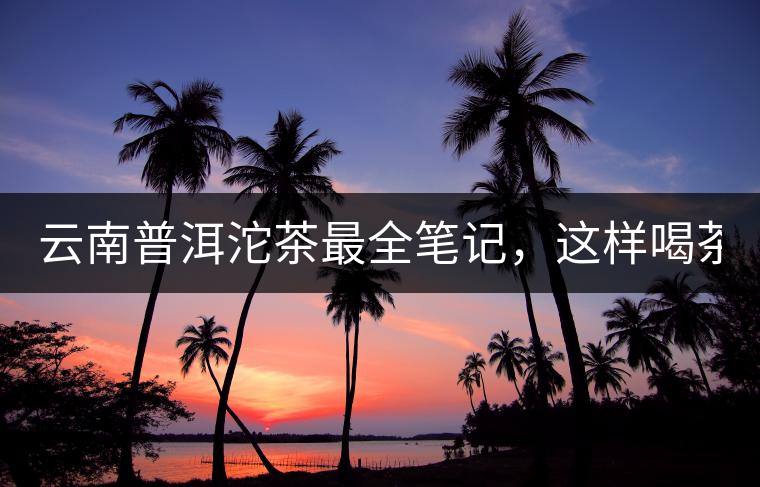 云南普洱沱茶最全筆記，這樣喝茶才更健康！