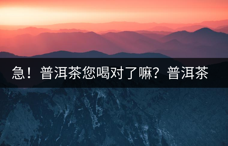 急！普洱茶您喝對(duì)了嘛？普洱茶的十八般武藝