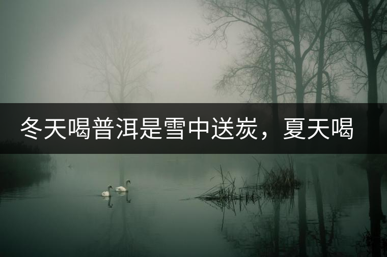 冬天喝普洱是雪中送炭，夏天喝就是火上澆油了？