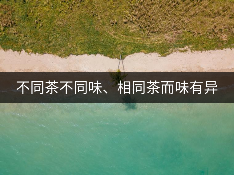 不同茶不同味、相同茶而味有異