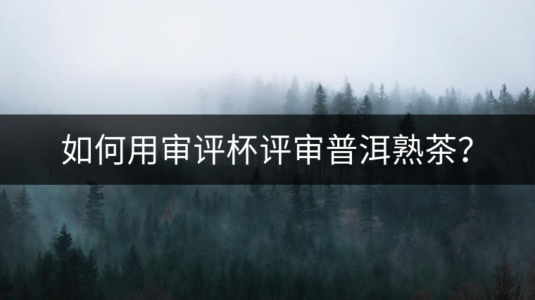 如何用審評(píng)杯評(píng)審普洱熟茶？