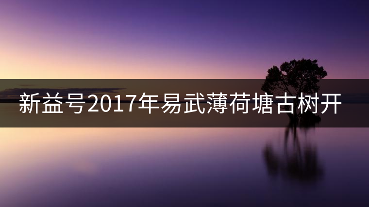 新益號(hào)2017年易武薄荷塘古樹(shù)開(kāi)湯 新益號(hào)2017年易武薄荷塘古樹(shù)開(kāi)湯