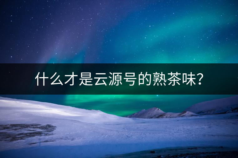 什么才是云源號(hào)的熟茶味？