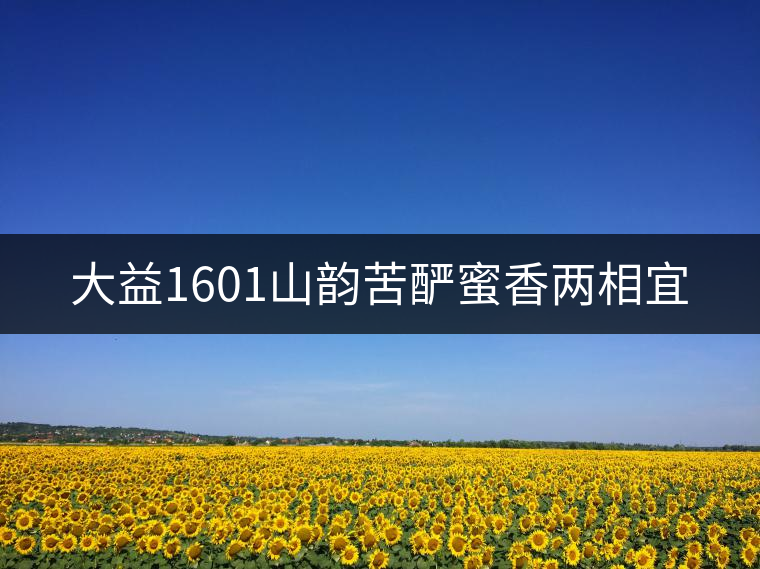 大益1601山韻苦釅蜜香兩相宜 大益1601山韻苦釅蜜香兩相宜