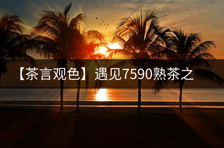 【茶言觀色】遇見7590熟茶之美 【茶言觀色】遇見7590熟茶之美